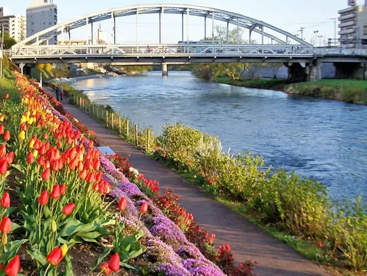 City view from property