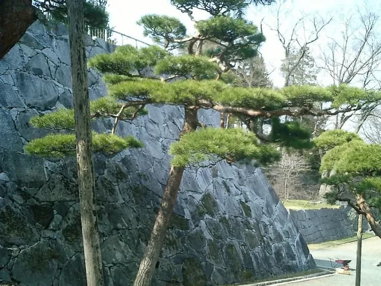 City view from property