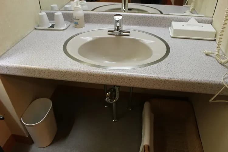 Bathroom sink