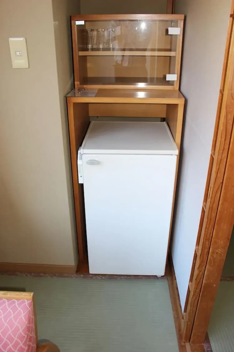 Mini-refrigerator