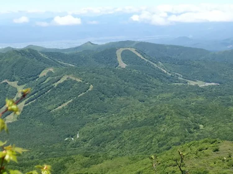 Land view from property