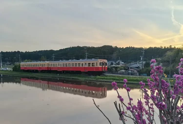 小湊鉄道が映える、魅力的なダイニングビュ