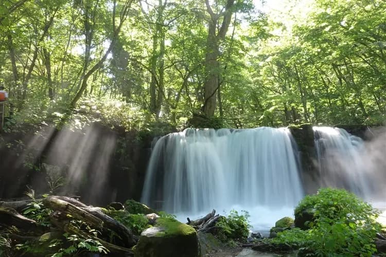 【東北旅遊好食在】奧入瀨溪流、角館武家屋敷、秋田鐵道、仙台手燒魚板、高原自助餐、金賞朝開酒廠、3晚溫泉、五日