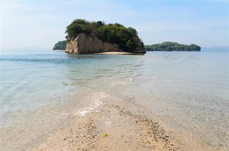 【日本旅遊】小豆島橄欖公園、大步危遊船、松山城~上天守閣、牧野植物園、道後溫泉六日｜台中出發