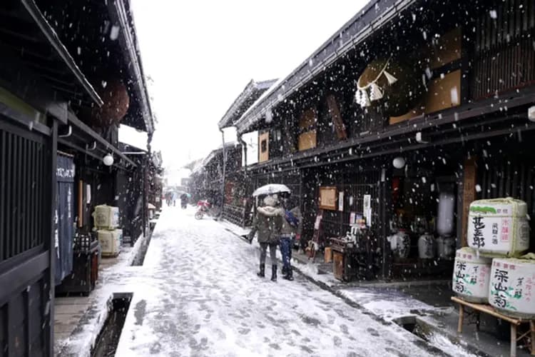 花現雪壁傳奇～立山黑部、合掌村牧歌之里、名古屋城賞櫻、惠那峽遊覽船五日