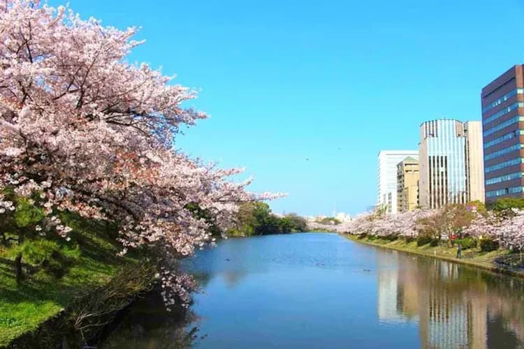 【KHH櫻花戀九州】能古島櫻花祭、熊本城水前寺、湯布院金鱗湖、阿蘇溫泉體驗五日