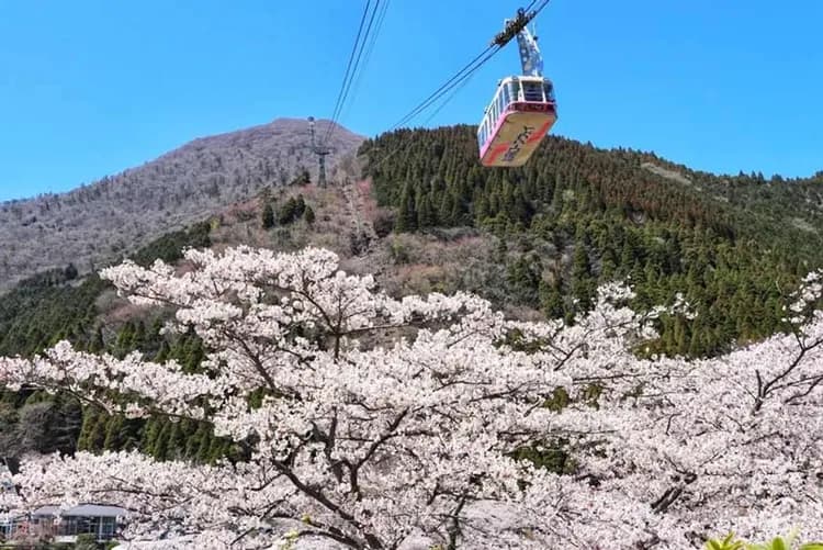 【春櫻九州】鐵道旅行～別府纜車、九重夢吊橋、日本百選溫泉、由布院之森列車五日