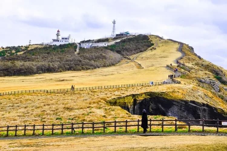 【特選首濟雙城】仙境牛島、世界遺產城山日出峰、英式森林小火車、療癒泰迪熊王國、韓服體驗、蓮洞逛街、一站購物彩妝、六日、高雄