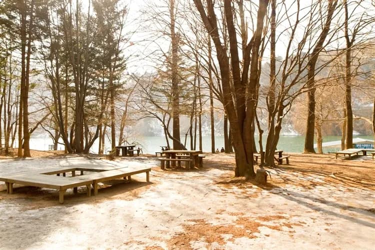 【冬遊首爾】嗨玩樂天世界、滑雪體驗、舒暢汗蒸幕、景福宮韓服體驗、書卷氣息圖書館、品味吮指炸雞、五日、高雄