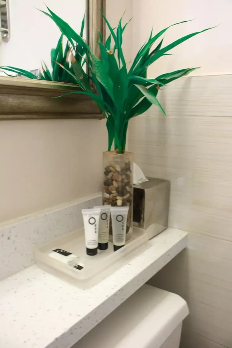 Bathroom amenities