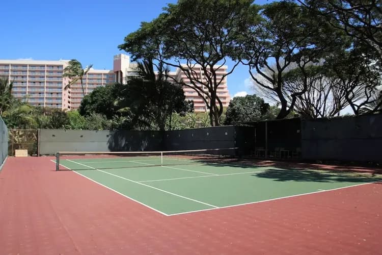 Sport court
