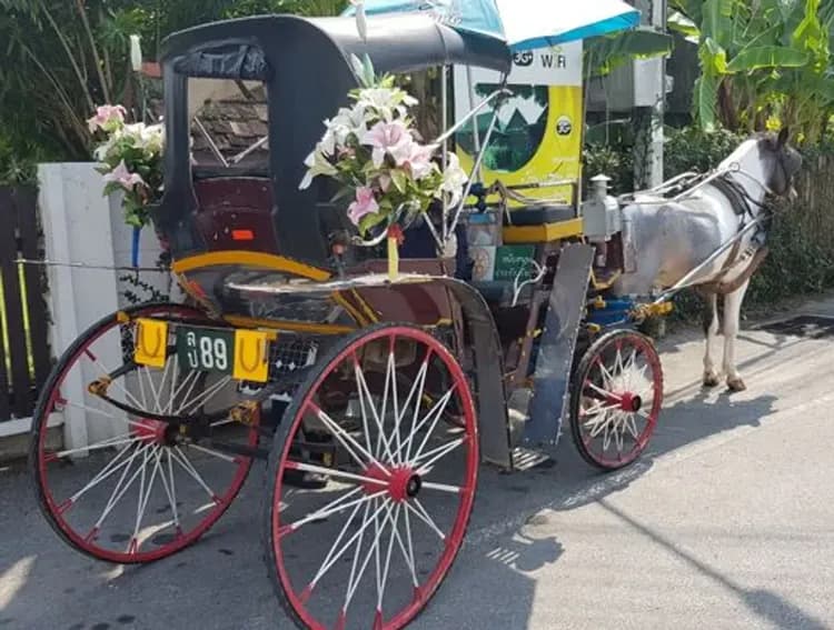 【泰北好時光5日】南奔復古火車、南邦陶瓷馬車、茵他農國家公園、最潮真心市集