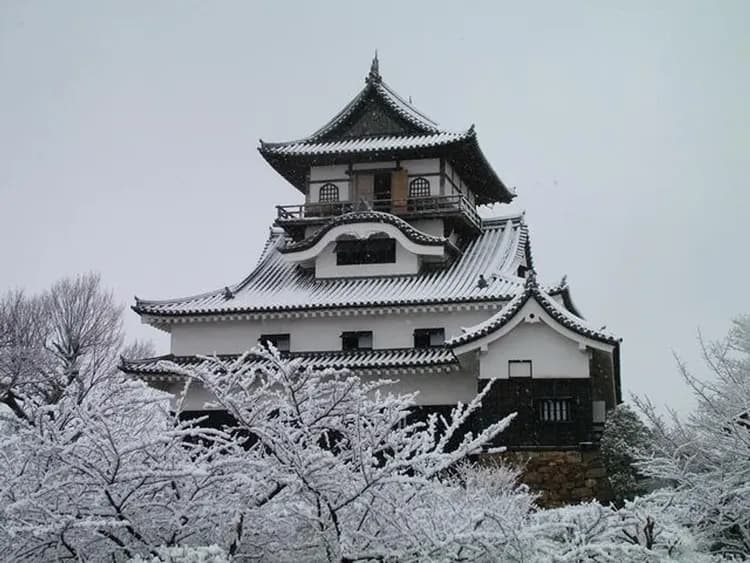 【旅展優惠 北陸旅遊】搭星宇住名古屋萬怡、御在所纜車、童話合掌村、兼六園、庄川峽遊船、迷你千鳥居、螃蟹飛驒牛餐、溫泉、五日