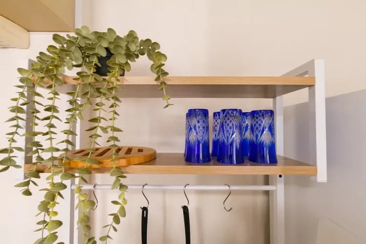 CLASSY 夕陽之丘｜日本橋站步行10分/黑門市場步行3分-9