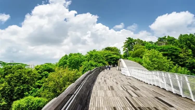 【新加坡】聖淘沙心之音、波浪橋、植物園、布洛灣濕地公園、雙燈光秀5日-5