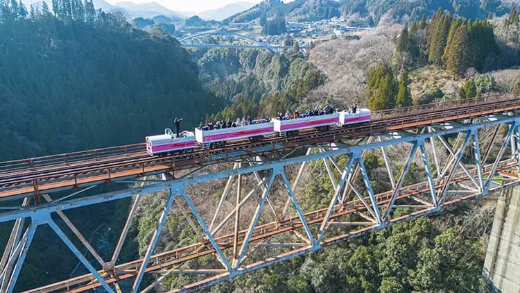 【省最大春櫻九州】四浦半島河津櫻、高千穗峽、觀景鐵道、太宰府賞梅、柳川遊船、螃蟹吃到飽、雙溫泉五日-5