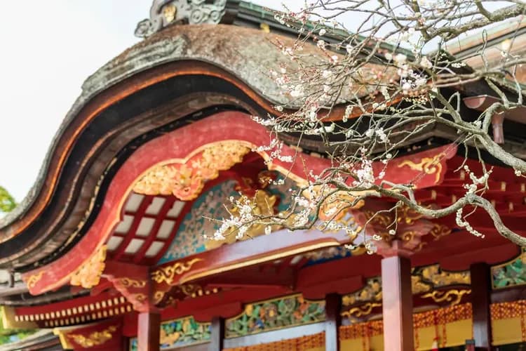 【省最大春櫻九州】四浦半島河津櫻、高千穗峽、觀景鐵道、太宰府賞梅、柳川遊船、螃蟹吃到飽、雙溫泉五日-7