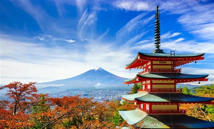 【東京旅遊】河津櫻花祭、伊豆全景纜車、天晴號遊船、三島大吊橋、涉谷SKY展望台、雙溫泉、五日、晚去晚回、高雄來回