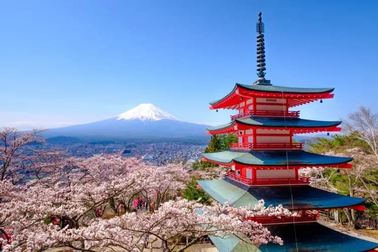 【東京旅遊 春櫻】1晚嚴選飯店、賞櫻名所～小田原城、新倉山淺間公園、晴空塔、敘敘苑燒肉、五日、無自費餐、2晚溫泉、高雄來回