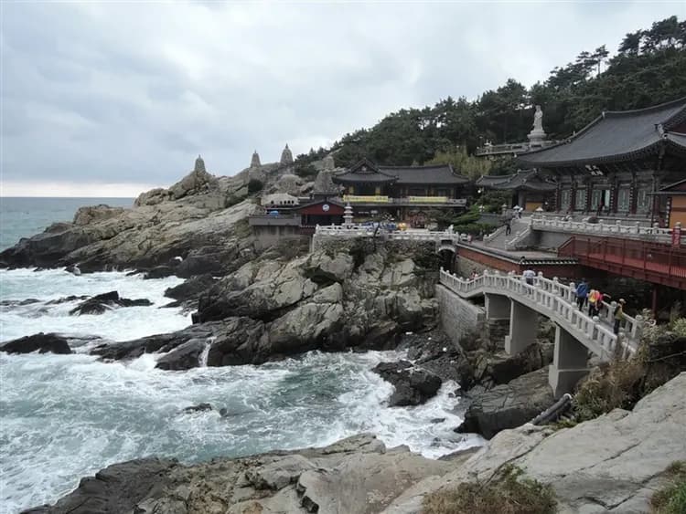 【花現釜山】鎮海櫻花、羅曼史橋慶和站櫻花、佛國寺櫻景、無去川賞夜櫻、海雲台列車、樂天超市採購(一站購物彩妝)五日、高雄-5