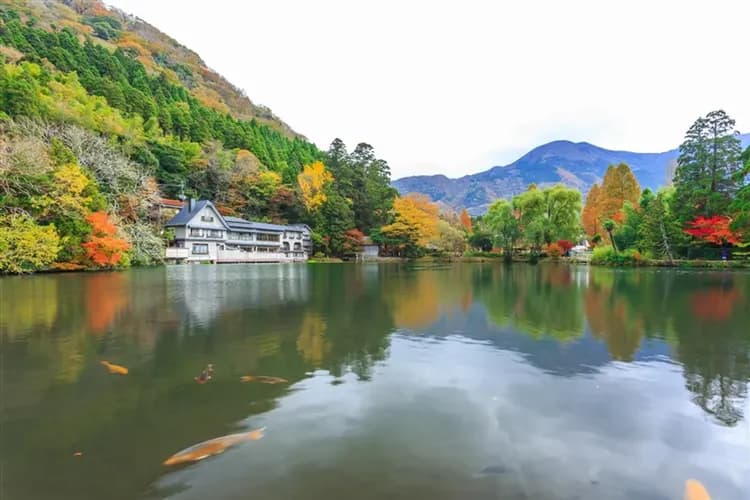 【九州 春櫻名所】金麟湖~湯布院、宇佐神宮、黑川溫泉、和牛燒肉吃到飽、太宰府~旅人列車、溫泉、五日、高雄直飛