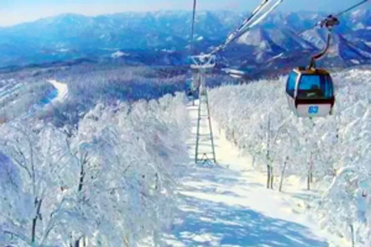 【東北雪舞紛飛】森吉阿仁樹冰纜車、松島銀山溫泉、新鮮草莓放題、津輕暖爐列車六日