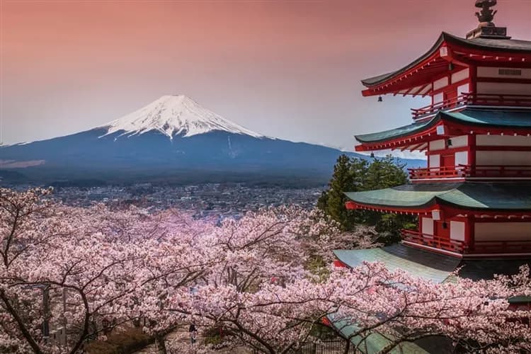 【東京旅遊春櫻】三晚溫泉、賞櫻名所～小田原城、新倉山公園、身延山纜車、大室山纜車、三島吊橋、国産牛涮涮鍋六日、高雄來回