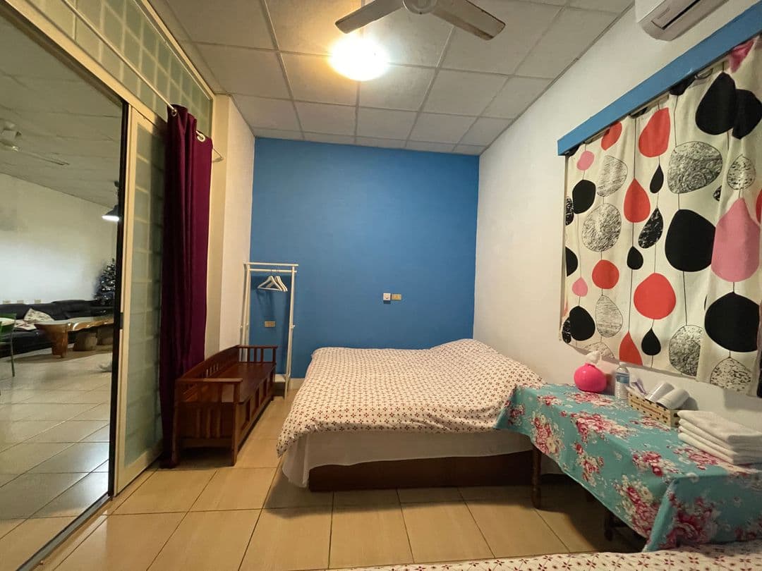 타이중 시-small tree