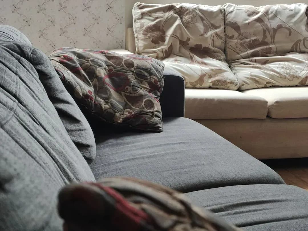 Auckland District-Newton Lodge Auckland - Hostel