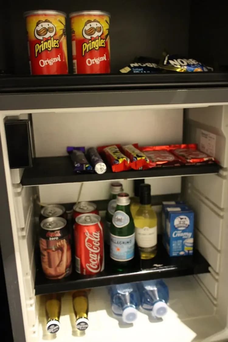 Mini-refrigerator