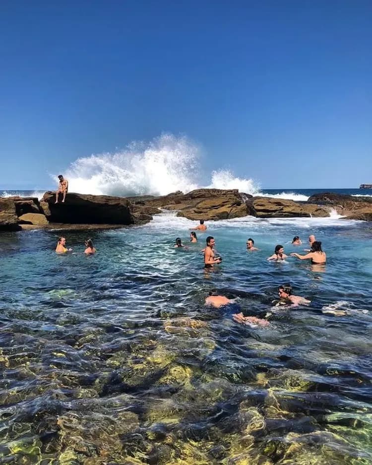Natural pool