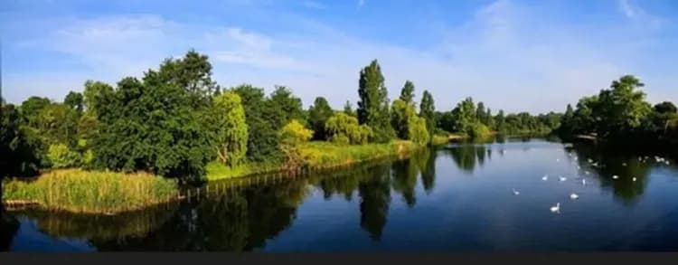 Children's activities