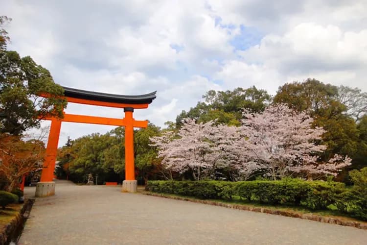 【櫻花戀九州】能古島櫻花祭、湯布院金鱗湖、長腳蟹吃到飽、三隈川屋形船五日