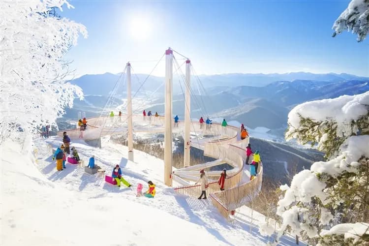 【省最大北海道旅遊】保證入住TOMAMU星野渡假村、愛絲冰城、札幌白色燈樹節、水教堂、霧冰纜車、小樽漫遊、溫泉美食、五日