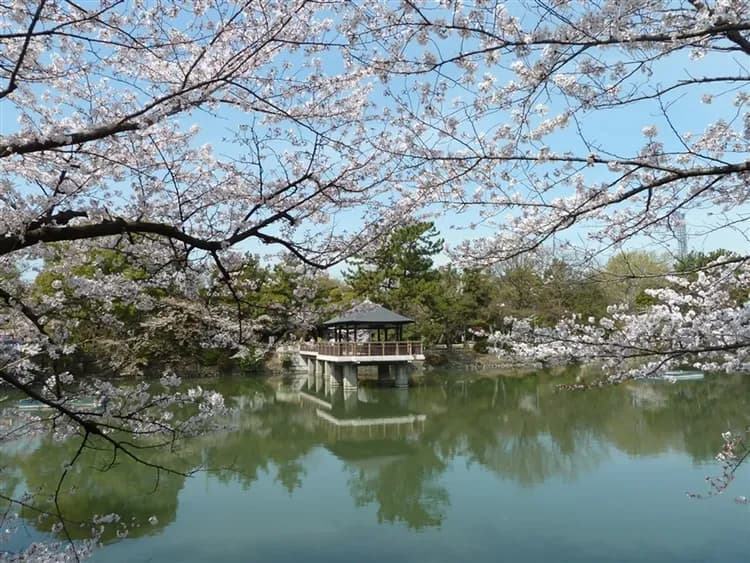 【春櫻名古屋靜岡】SL大井川鐵道、富士山櫻花絕景~岩本山、龍巖淵、日本平纜車、濱名湖遊船、牧之原茶園、岡崎城、螃蟹溫泉、五日