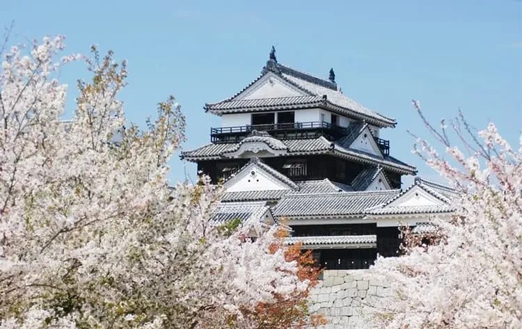 【春櫻岡山四國】旭川櫻花道、丸龜城、金刀比羅宮、松山城、寒霞溪纜車、大步危遊覽船、小豆島、DIY烏龍麵、道後溫泉五日