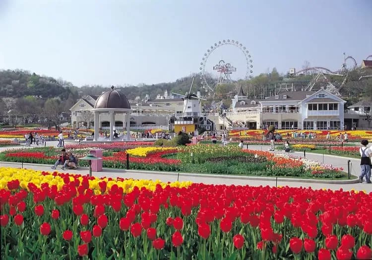 【冬遊首爾】韓式汗蒸幕、冬季滑雪、愛寶樂園、青瓦臺、復古電動車明洞、五日