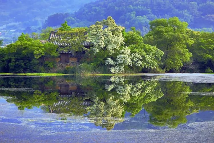 【新春清倉釜邱】浦項環湖公園、密陽風情漫遊、海岸觀光列車、韓服塗鴉秀五日