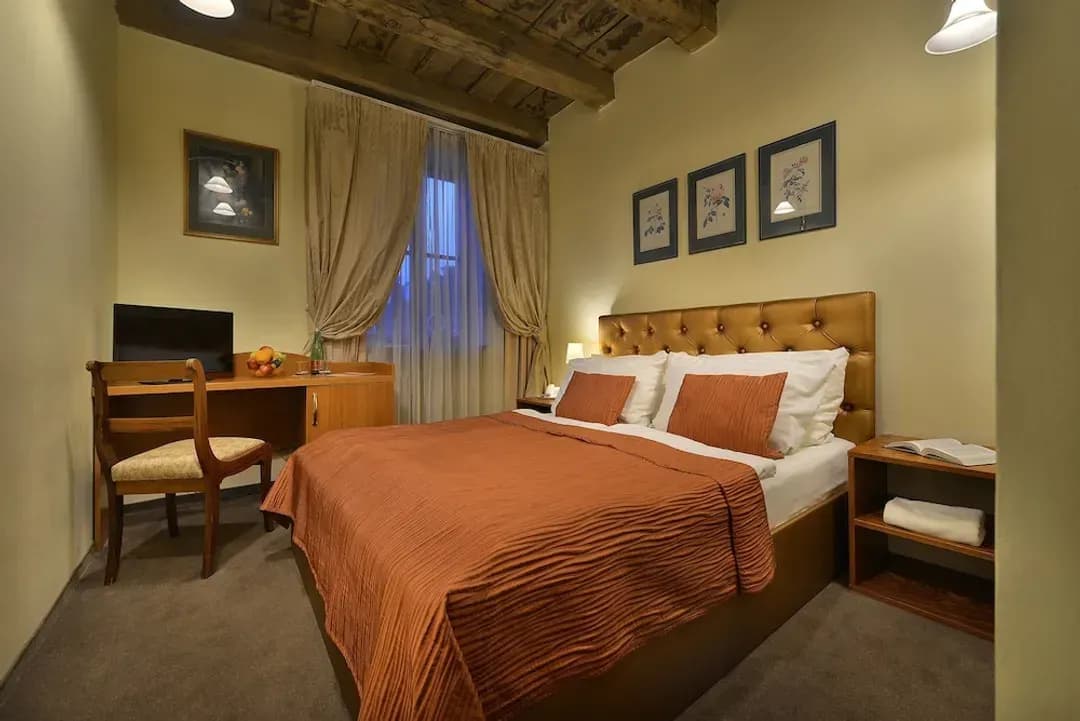 プラハ-ホテル ウ トゥリ プシトロス