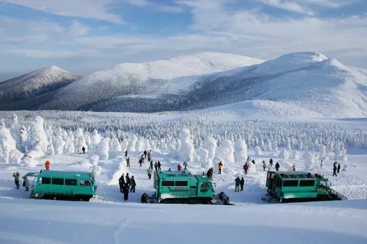 【花卷旅遊】藏王樹冰～雪怪車、銀山溫泉散策、最上川遊船、藏王狐狸村、江刺藤原之鄉、戲雪、溫泉、五日