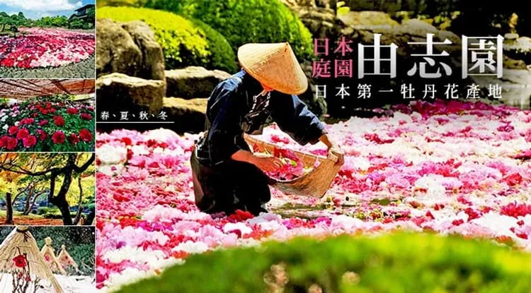 山陰山陽｜蒜山高原牧場.出雲大社.松江城.屋形船遊船.葡萄酒廠.倉敷美觀.採果體驗五日｜三晚溫泉-5