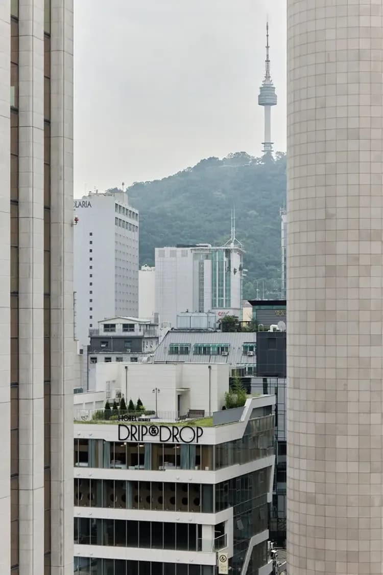 Land view from property