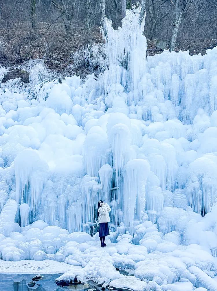 大邱琵瑟山自然休養林