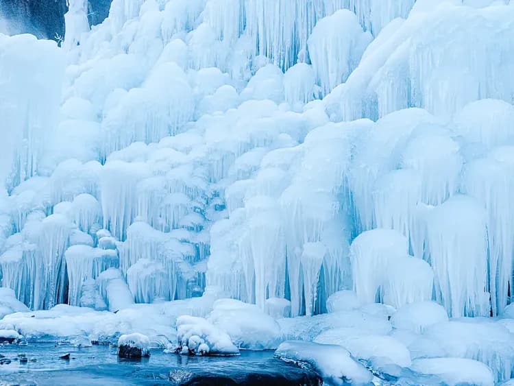 大邱琵瑟山自然休養林
