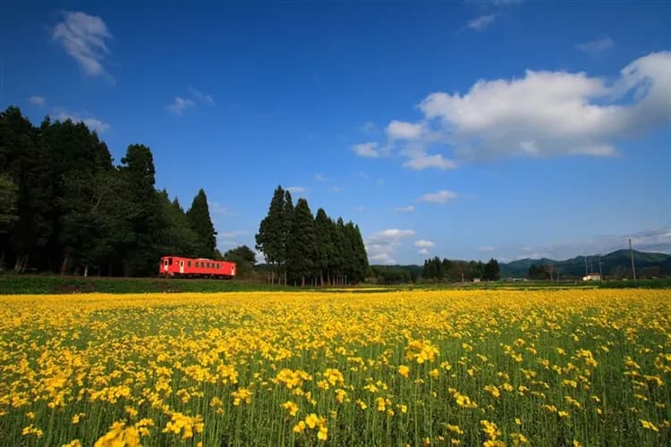 【四人同行~一人免費 日本東北花卷五日】輕舟暢遊猊鼻溪、最美村鎮小坂町、秋田小火車、一晚溫泉