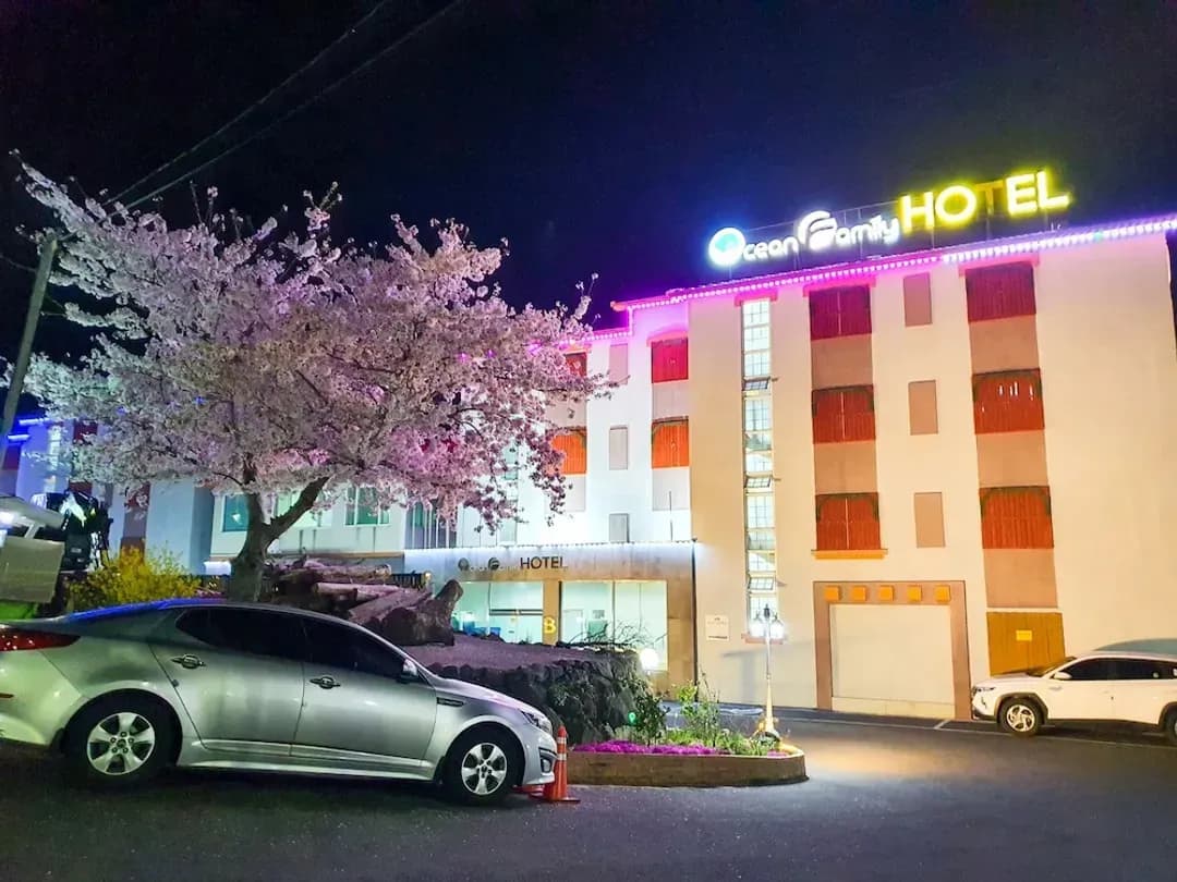 濟州特別自治道-海洋家庭飯店