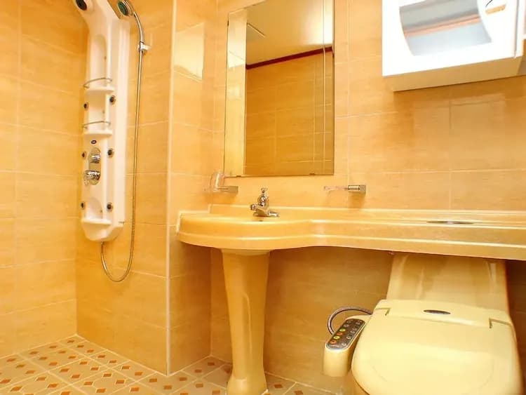Bathroom shower