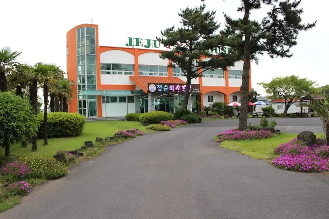 Jeju-do-Jeju Feel House