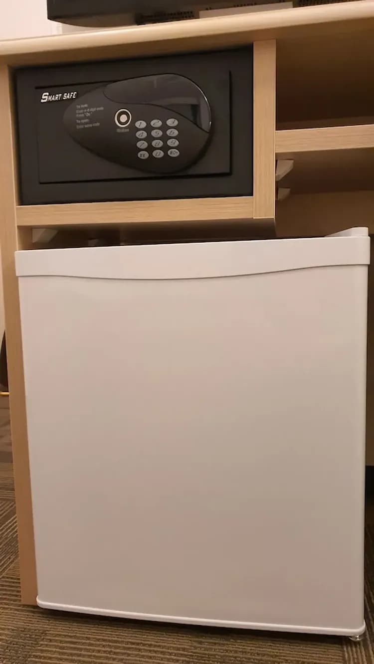 Mini-refrigerator
