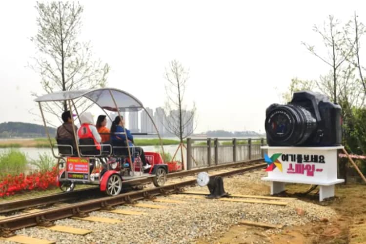 義王鐵道自行車 (4人/台)